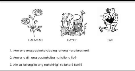 Ano ang pagkakatulad at pagkakaiba ng tao at hayop .